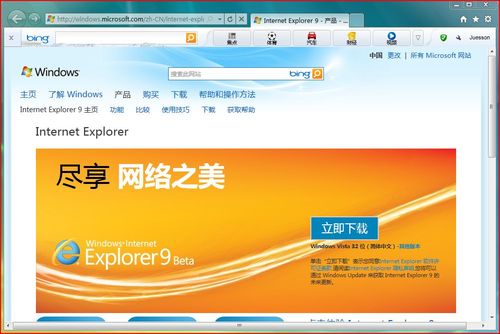 IE9电脑版截图3