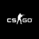 CSGO