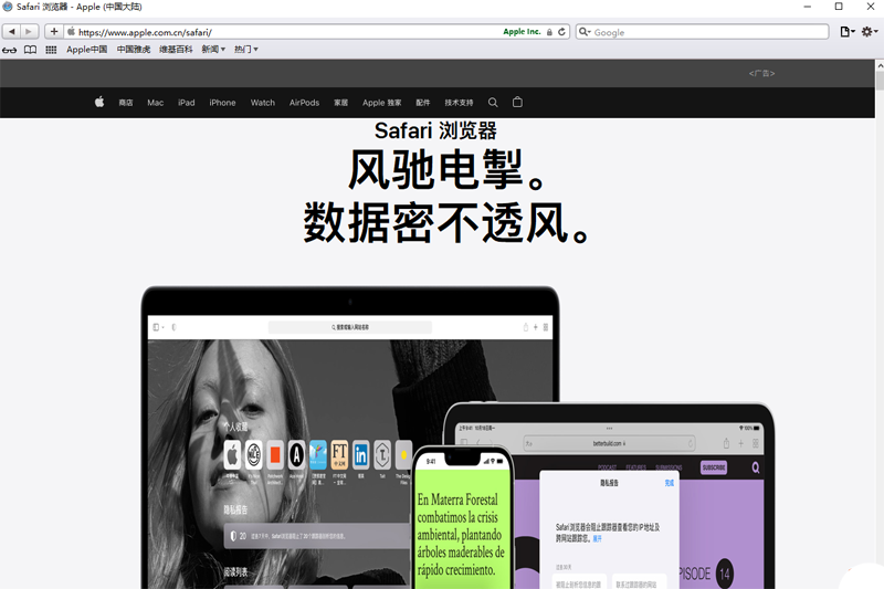 Safari截图4